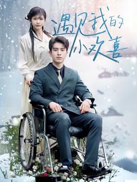 遇见我的小欢喜(全集)