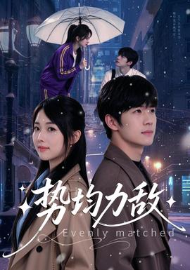 势均力敌(全集)